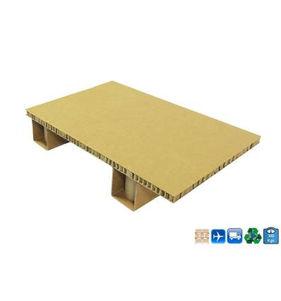 Cardboard Pallet 400 X 600 X 100 - loads 300 kg - reinforced Tray