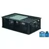 Plastic Poultry Transport Drawer 500x800 84 Litres Perforated bottom & sides